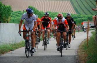 Grupos de Companheirismo do Rotary